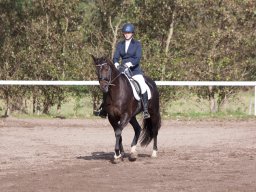 IMG_7873_web